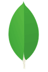 MongoDB